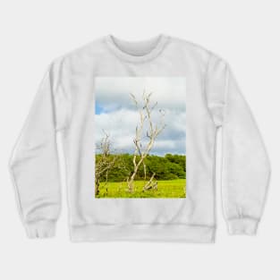 Molokai Study 10 Crewneck Sweatshirt